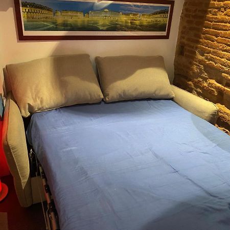 Petit Appartement Cosy トゥールーズ エクステリア 写真