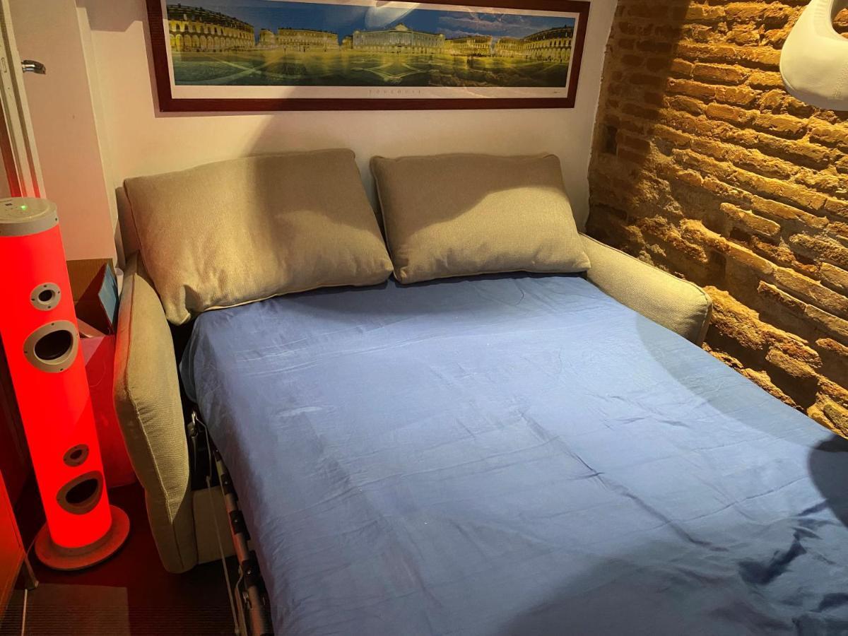 Petit Appartement Cosy トゥールーズ エクステリア 写真
